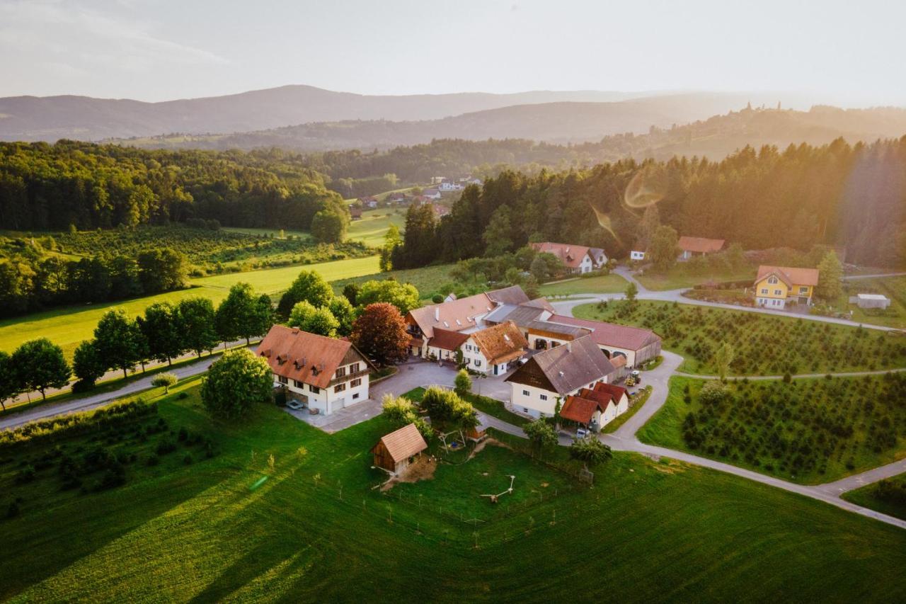 Krainerhof - Winzerzimmer Sankt Stefan ob Stainz エクステリア 写真